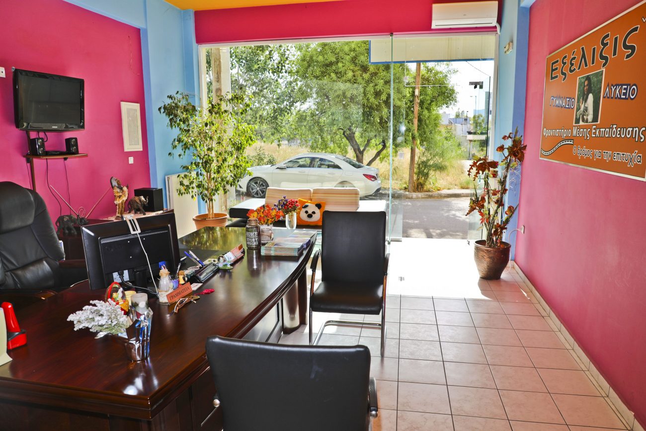 ΦΡΟΝΤΙΣΤΗΡΙΟ 2019 017 Exelixis Βλαχοπούλου