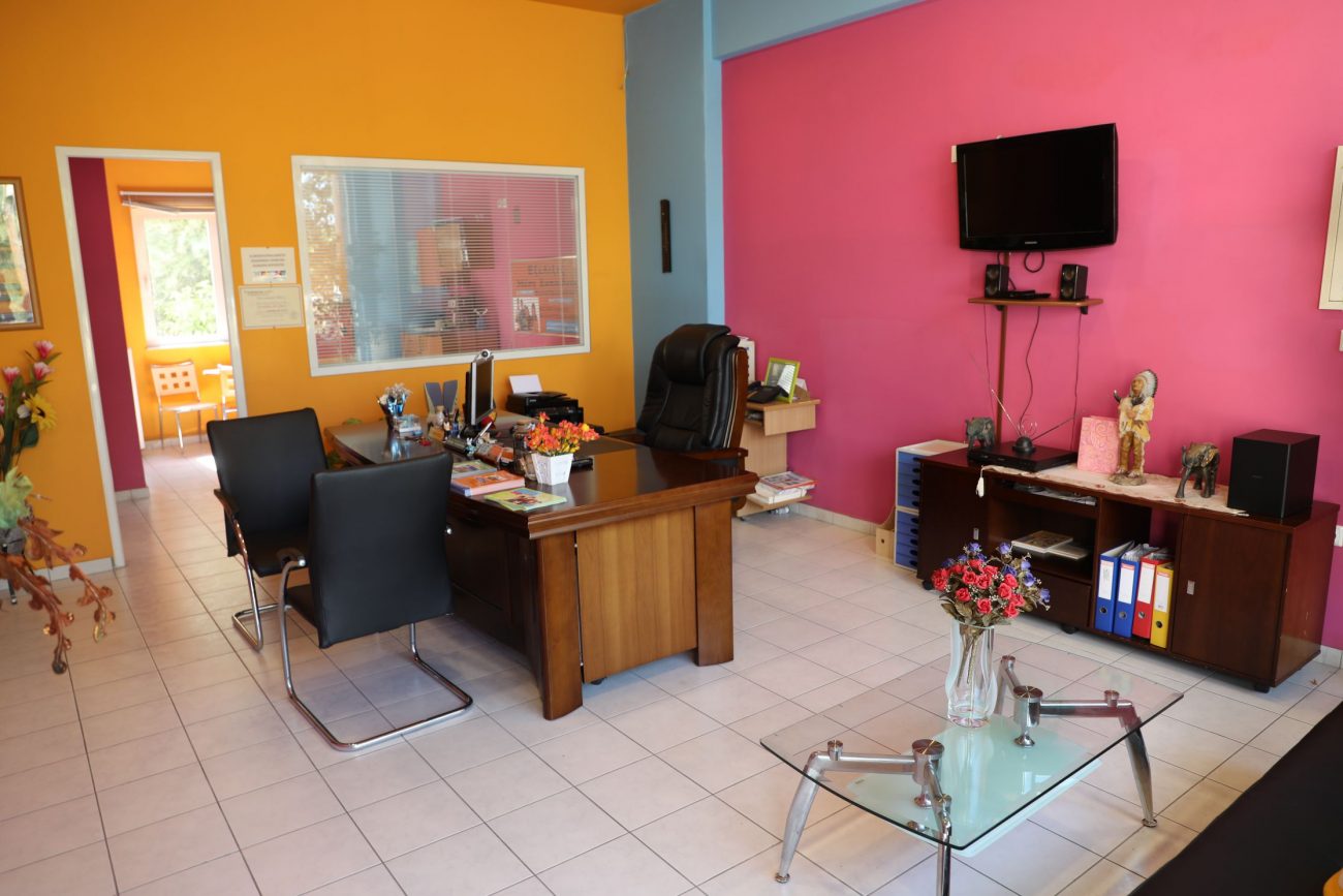 ΦΡΟΝΤΙΣΤΗΡΙΟ 2019 034 Exelixis Βλαχοπούλου